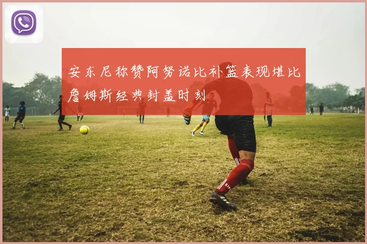 安东尼称赞阿努诺比补篮表现堪比詹姆斯经典封盖时刻