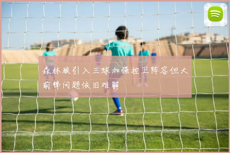 森林狼引入三球加强控卫阵容但大前锋问题依旧难解